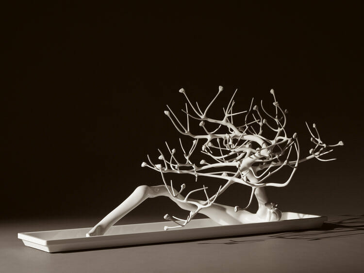 "Gravity of Beauty"