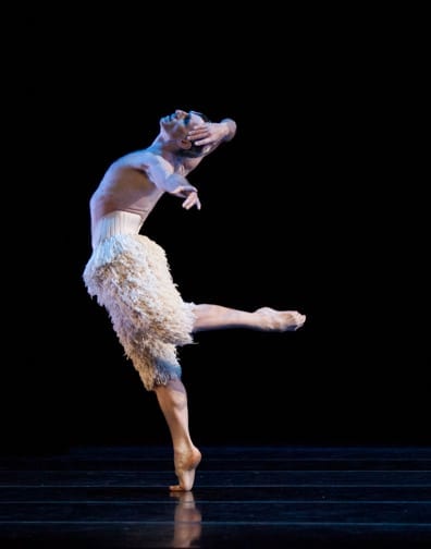 Domenico Luciano as the White Swan.