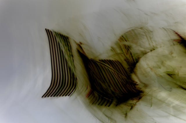 Preview: ART PAPERS’ 17th Annual Art Auction captures emerging talents from Atlanta and abroad