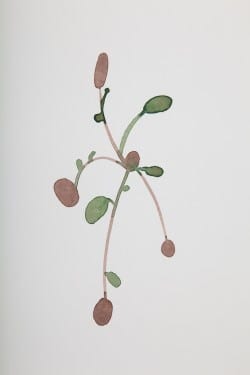 Jim Waters: Untitled, 2009, watercolor on rag paper. Courtesy of the artist