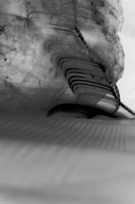 Bojana Ginn: "Liquid Line 9."  Fujiflex print on Plexiglass.