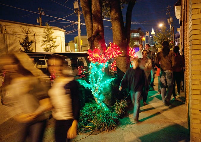 Marisa Dipaola, Garden of Oz, 2010