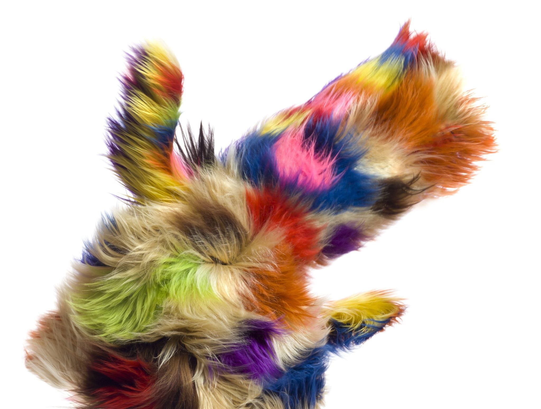 Preview: Nick Cave premiere a spectacle of performance art, dance