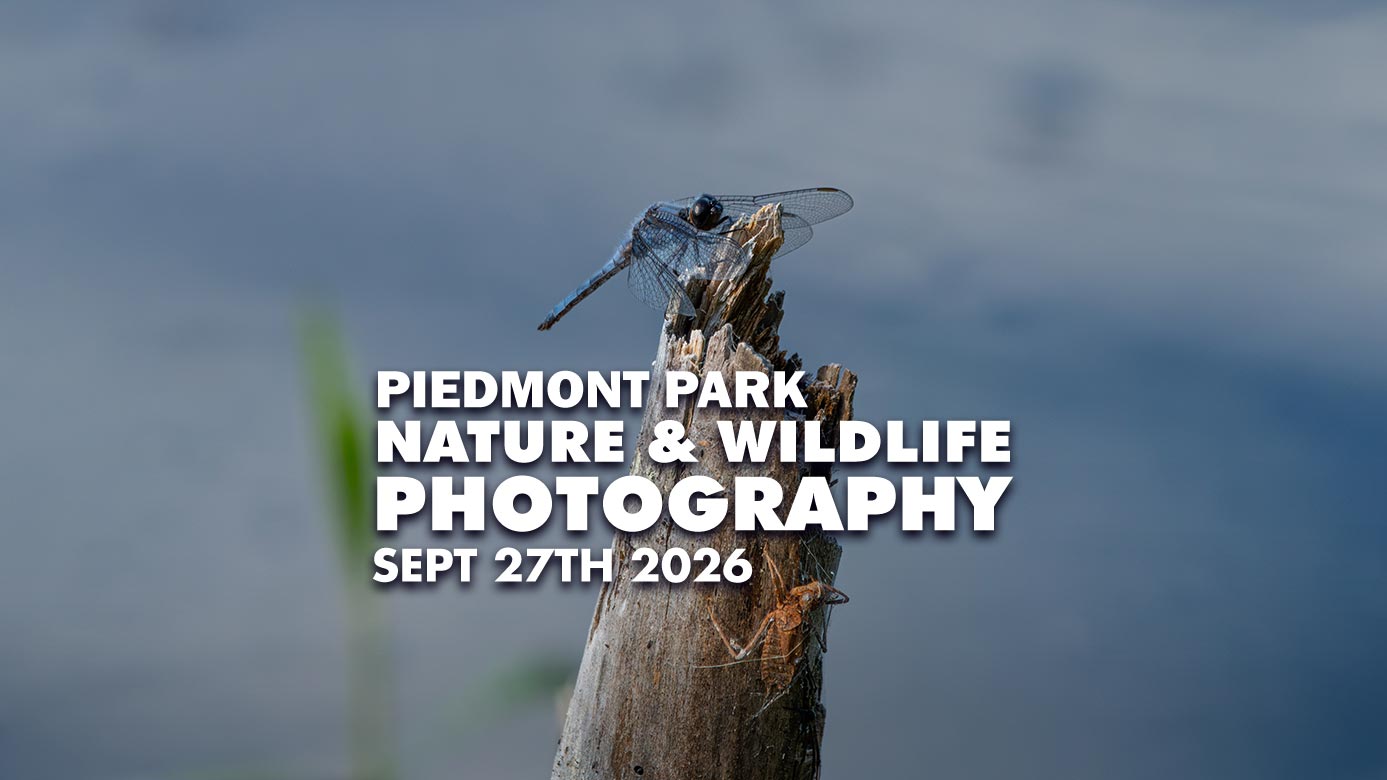 Piedmont Park Nature Photography Meetup