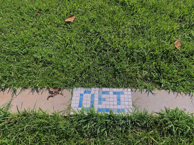 The ghosts of segregation haunt Flux Projects' 