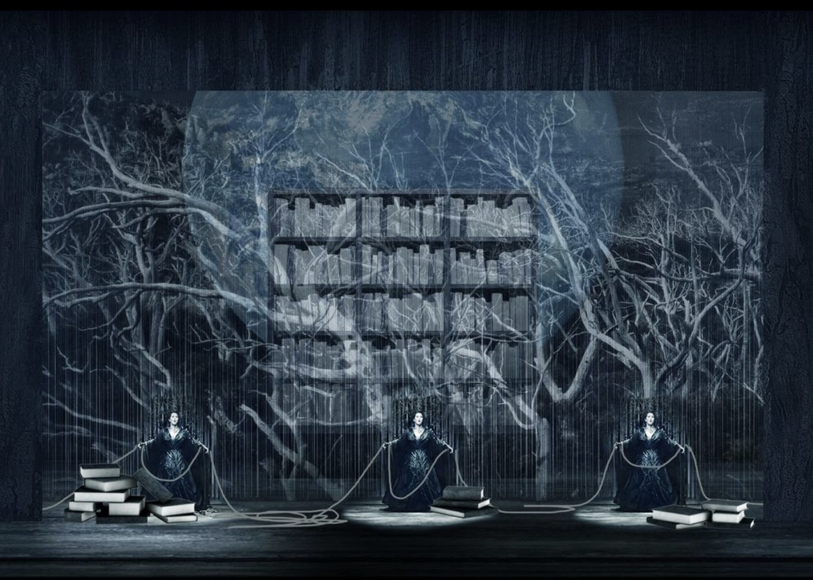 Atlanta Opera’s 2025-26 season: A Ring, a Beauty and an Alliance ...