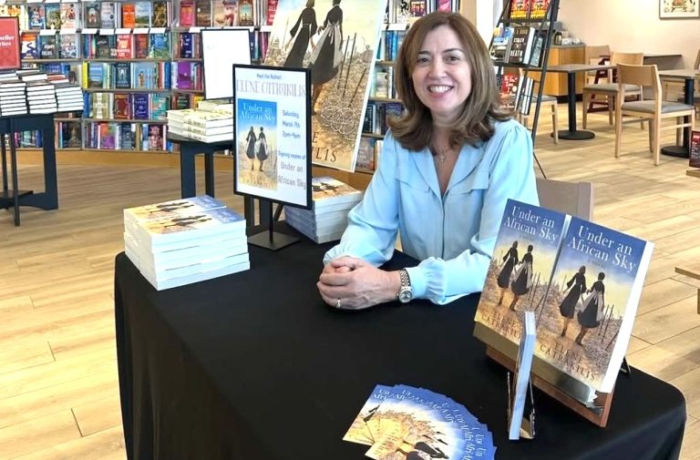 Review: Catrakilis’ ‘Under an African Sky’ has makings of a cohesive story, ends up fragmented
