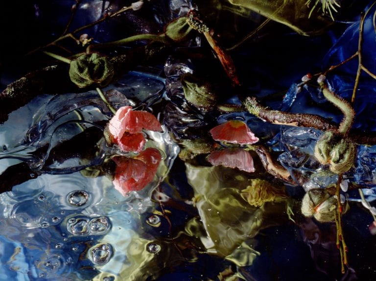 What to see, hear and do this week, October 15–21