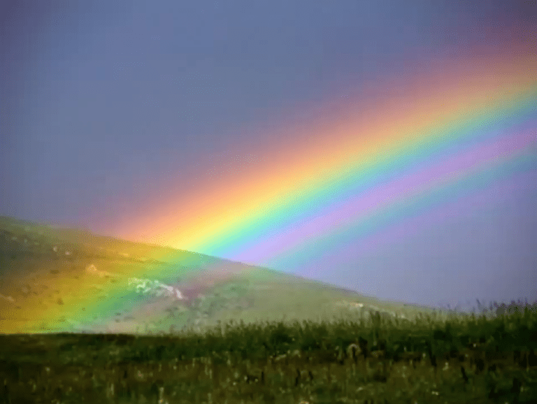 Q&A: Award-winning Curtis Ames on making art with steel rods, Flex Seal