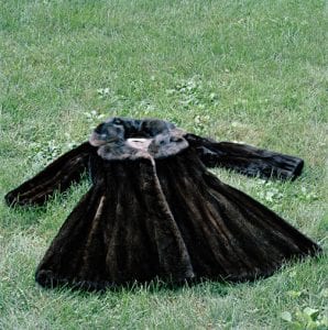 The-Fur_