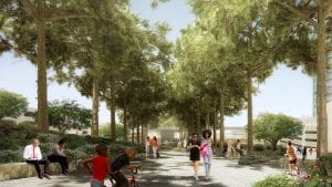 View from Allee looking North
