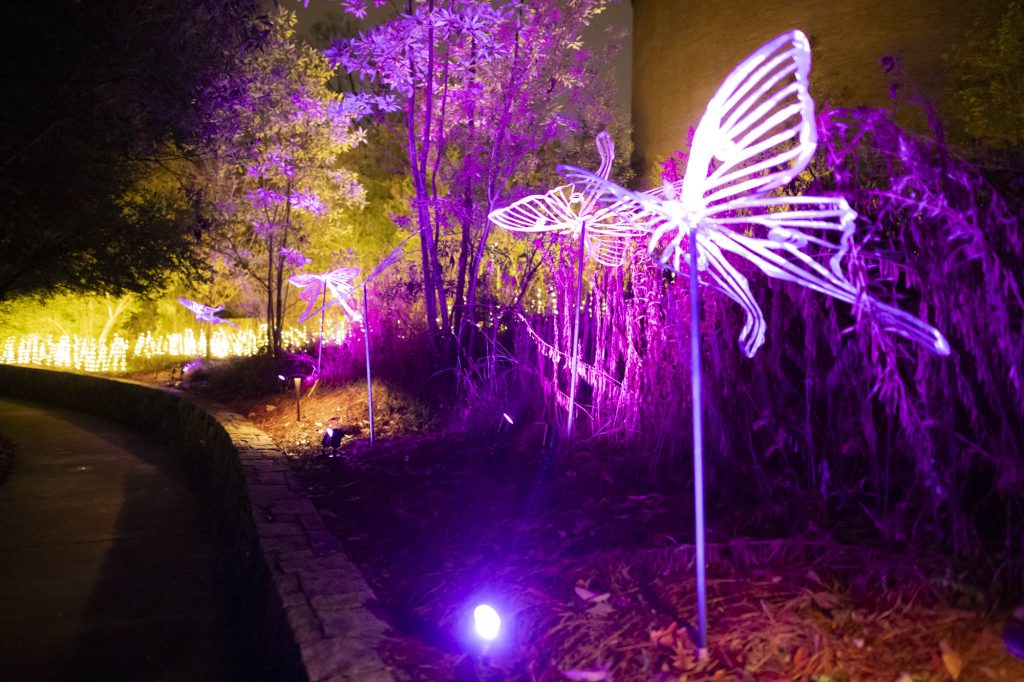 Fernbank's WildWoods come to life at night with AGLOW - ARTS ATL