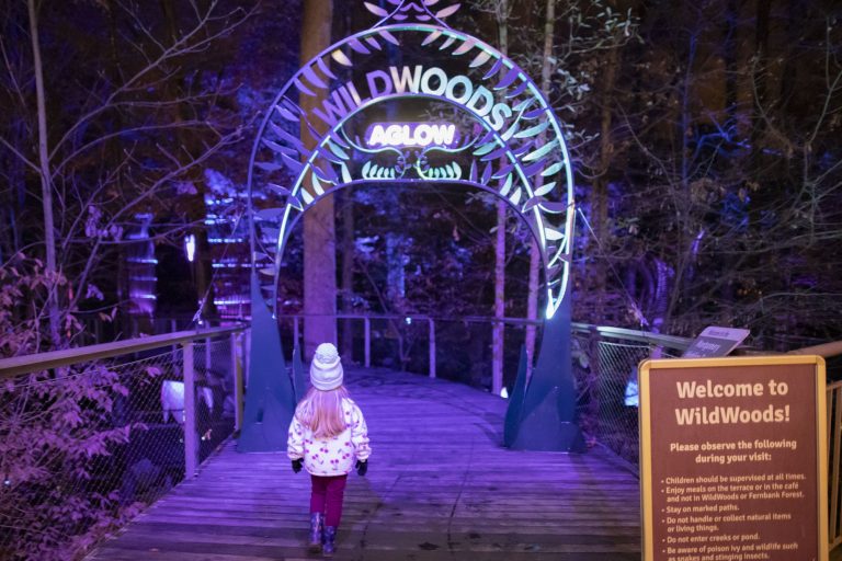 Fernbank’s WildWoods come to life at night with AGLOW