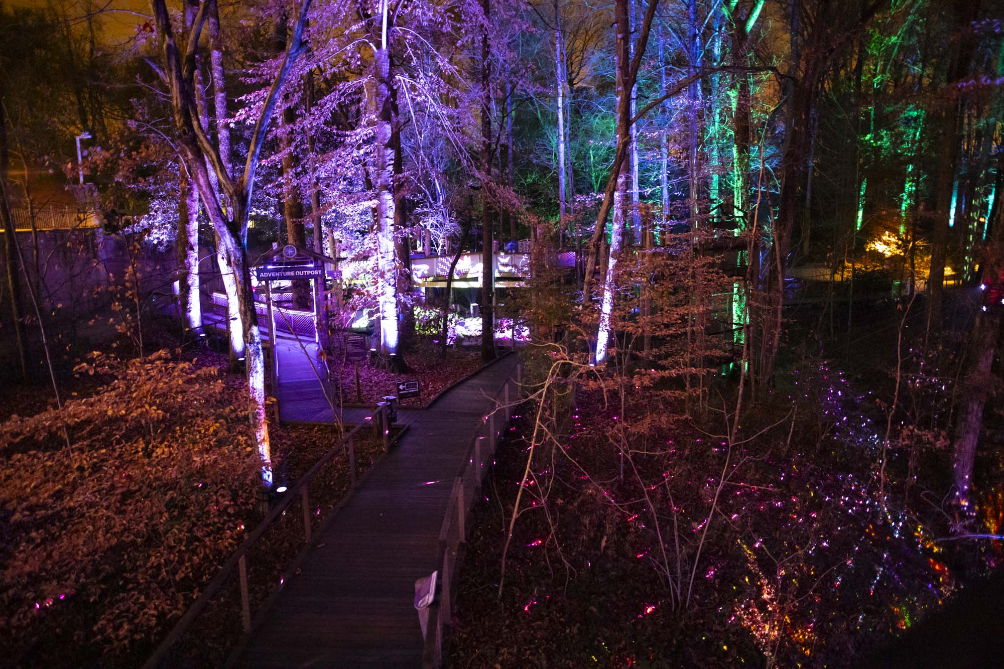 Fernbank's WildWoods come to life at night with AGLOW - ARTS ATL