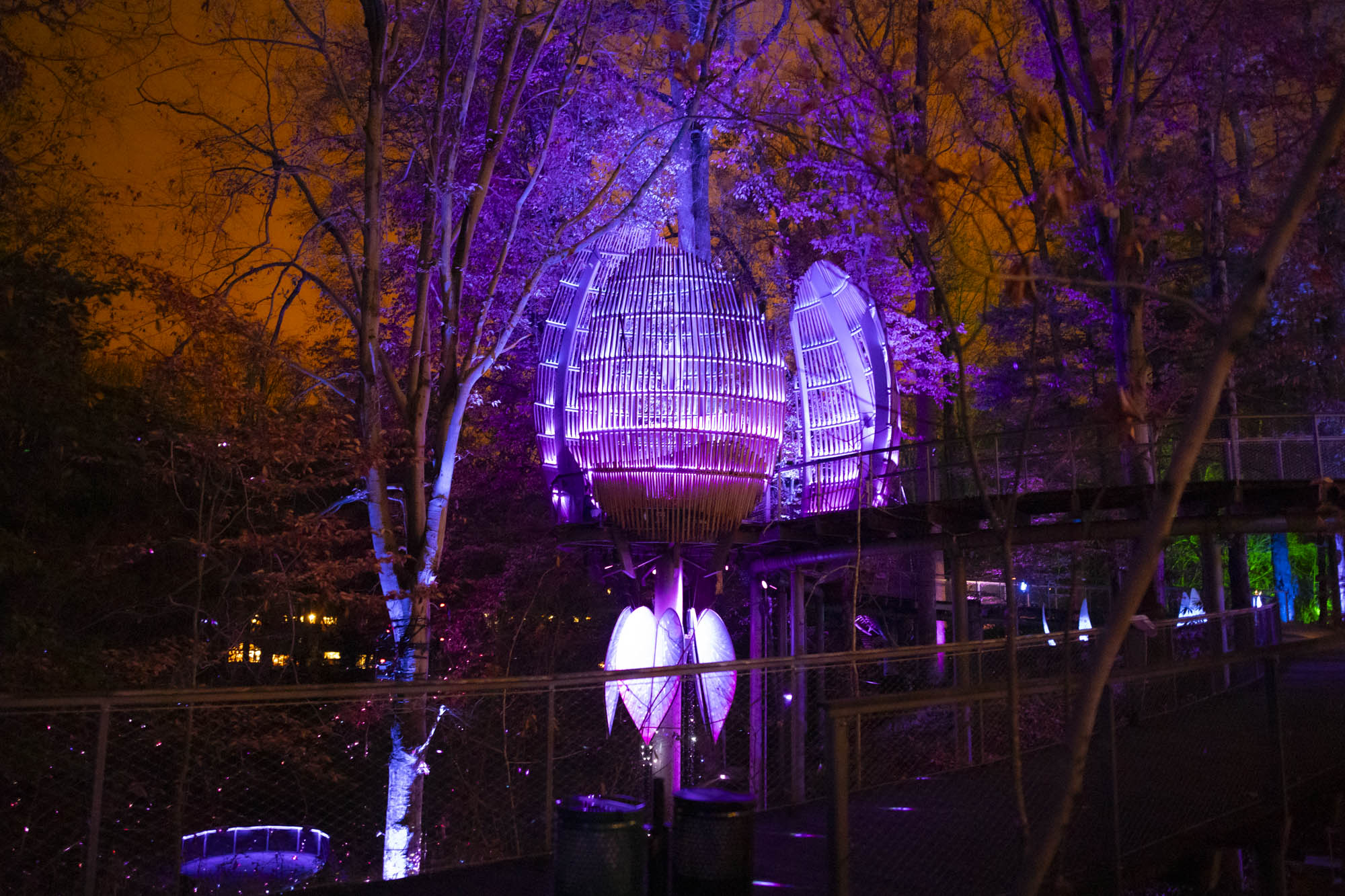 Fernbank's WildWoods come to life at night with AGLOW - ARTS ATL