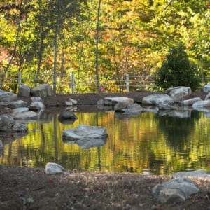 Atlanta Botanical Garden, Gainesville