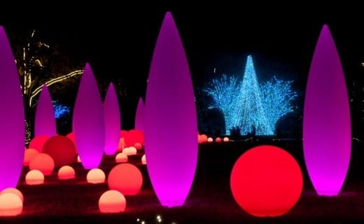 garden-lights-orbs-by-james-camp