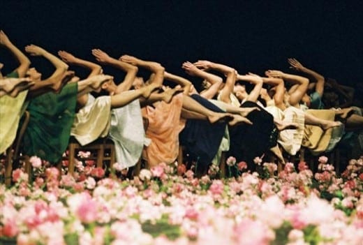 Pina Bausch's Nelken Pina Bausch's Nelken