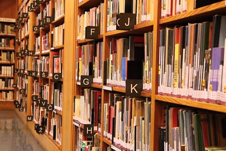 Library Criminalization Bill SB 74 is a ‘solution’ in search of a problem