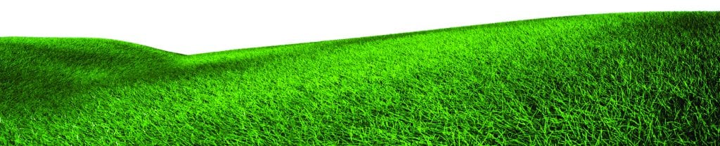 rolling-hills-1