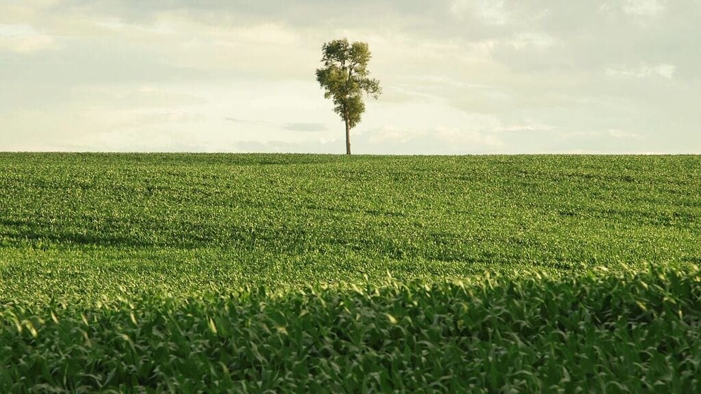 The vastness of Patrick Shen’s In Pursuit of Silence.